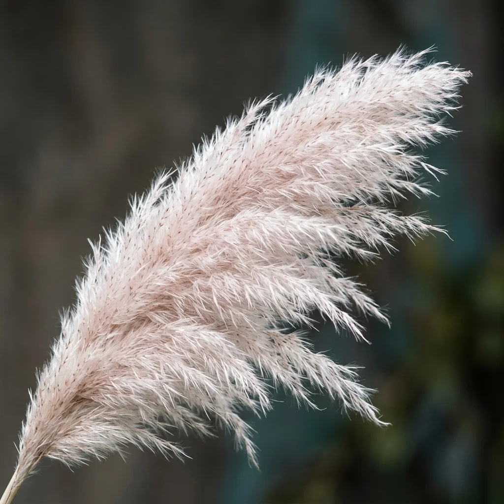 Identifica e cura Pampas Grass (Cortaderia selloana) con Plant AI