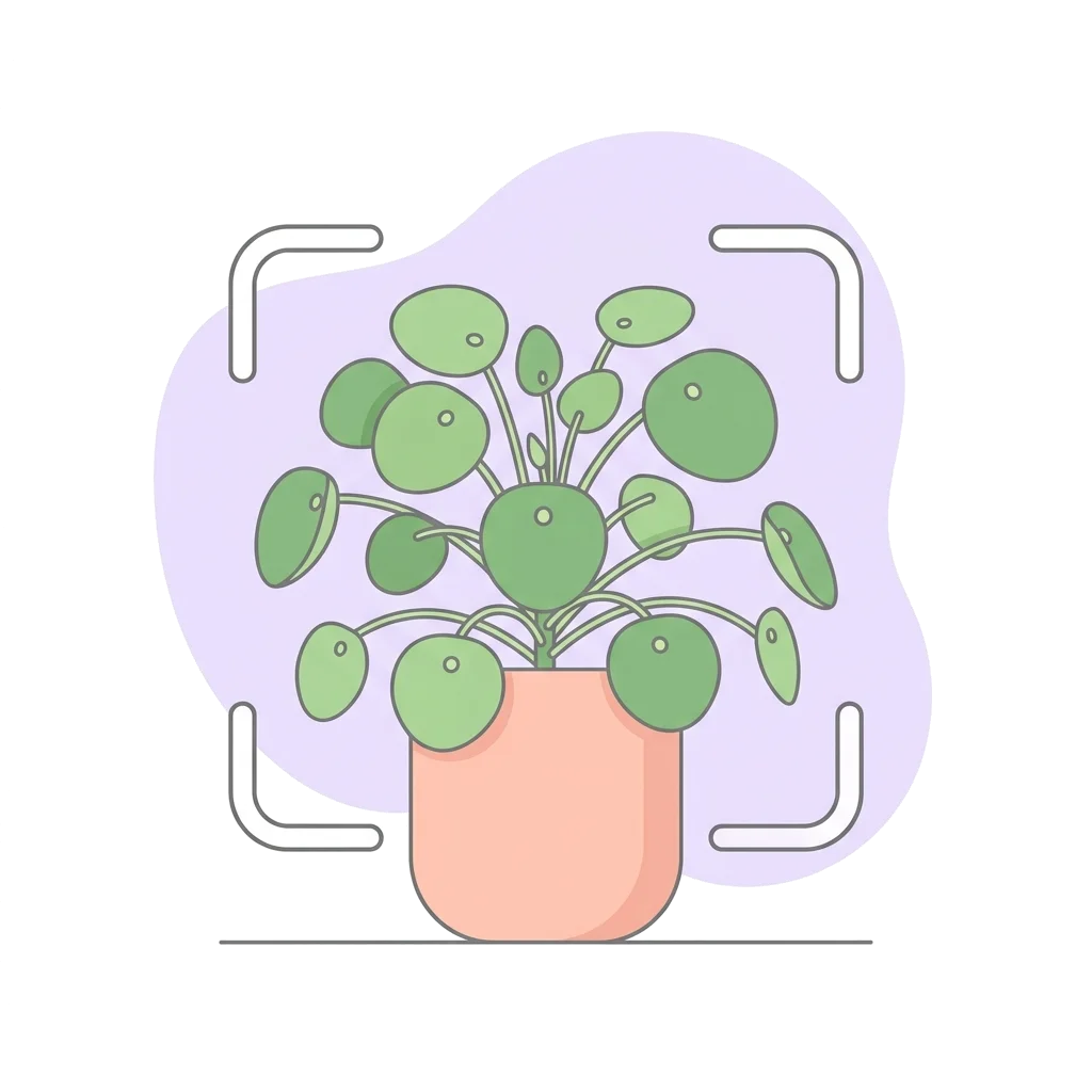 Snap a Photo of your plant