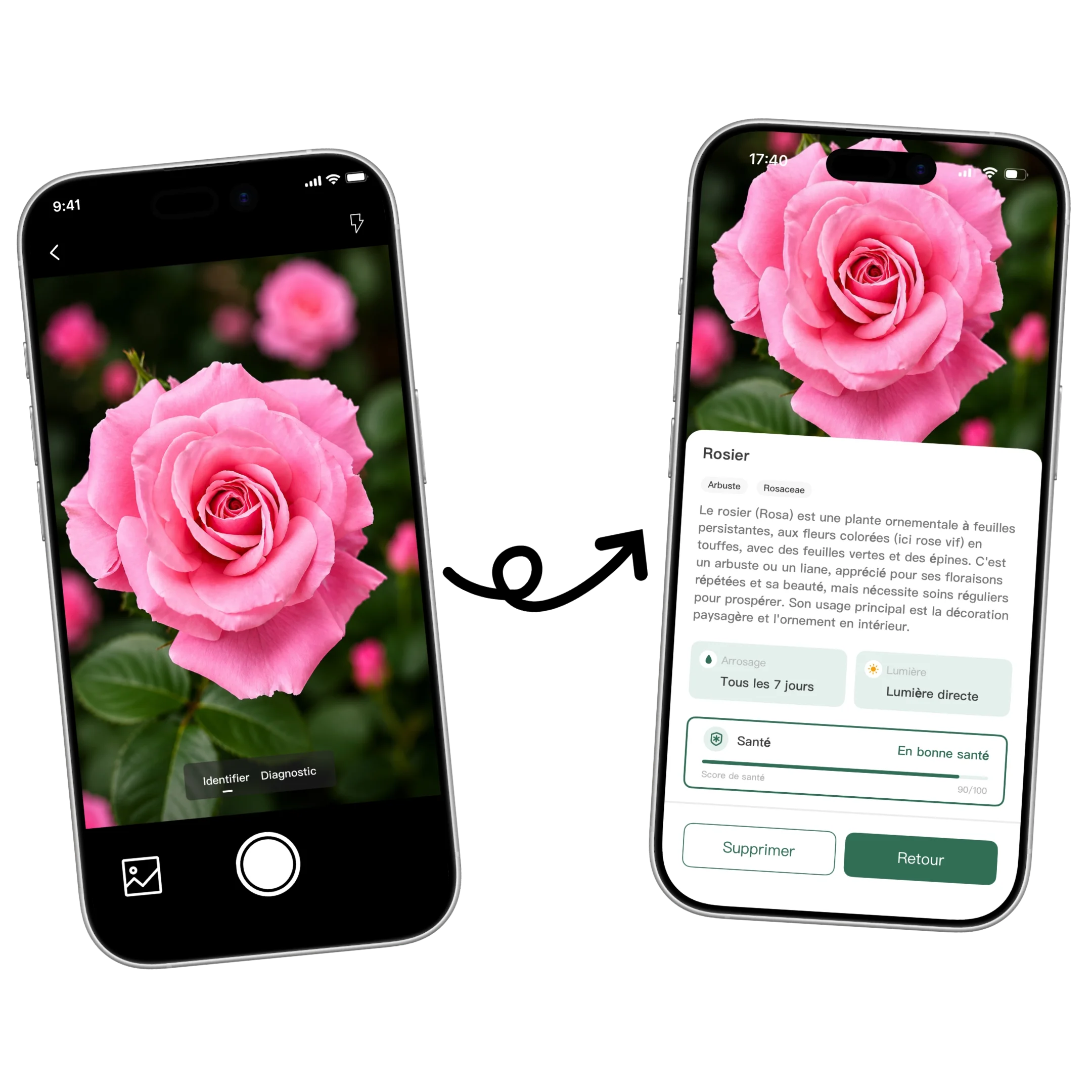 Aperçu de Plant AI pour identifier une plante par photo